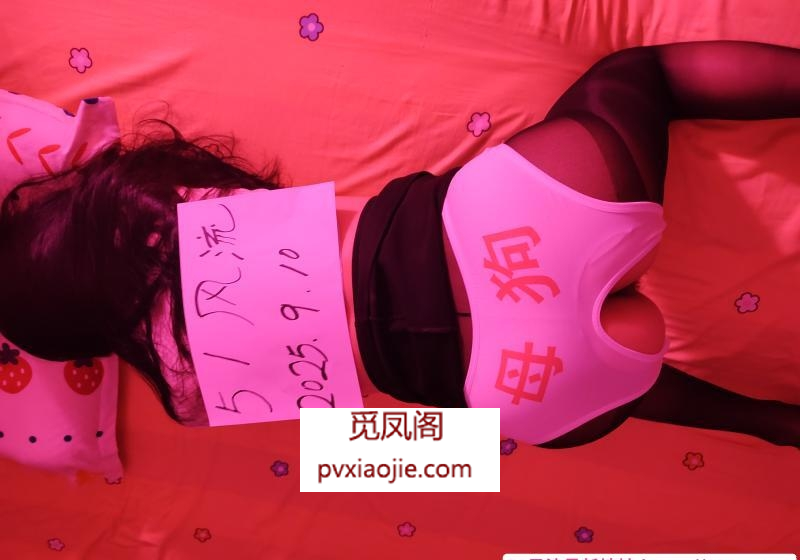 服务系骚母狗